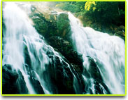 Meenmutty Water Fall