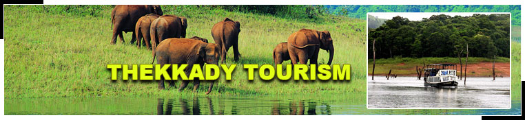 thekkady tourism