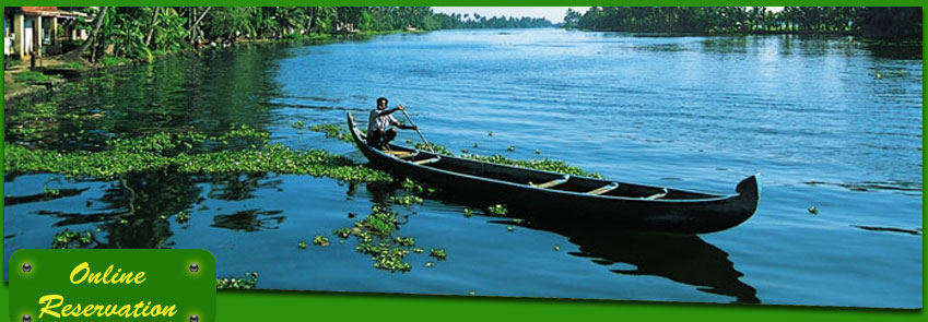 makemymunnarhoneymoon