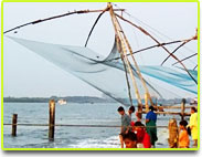 kochi