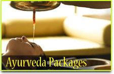 Make My Munnar Honeymoon