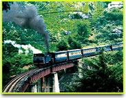 ooty