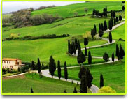 ooty