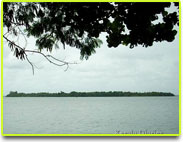 Pathiramanal